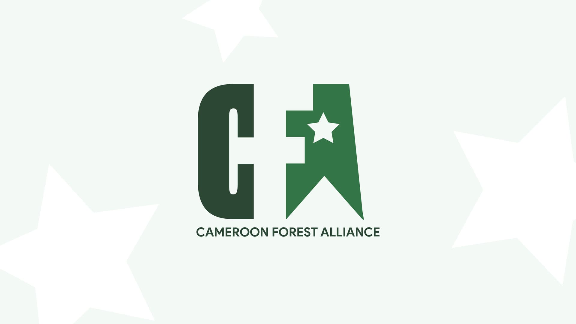 Cameroon Forest Alliance — product design case study by Ghany Elisha